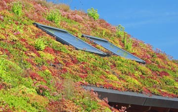 Fraddam living roof systems