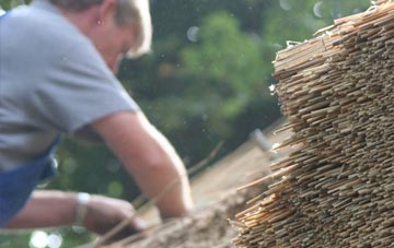 professional Fraddam thatchers